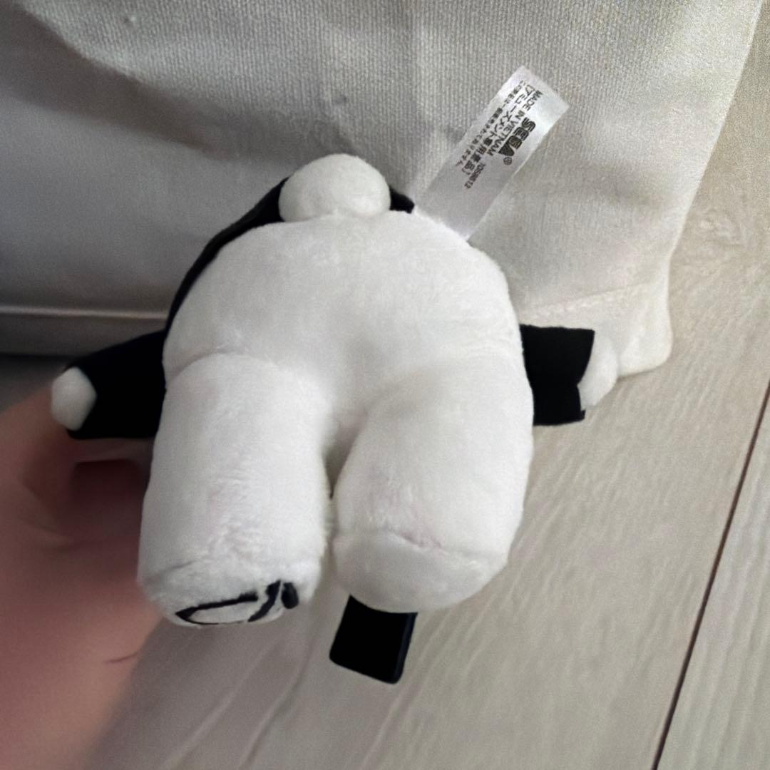 BE:FIRST SOTA BMSGパーカー 青くま セット売り おまけ付き