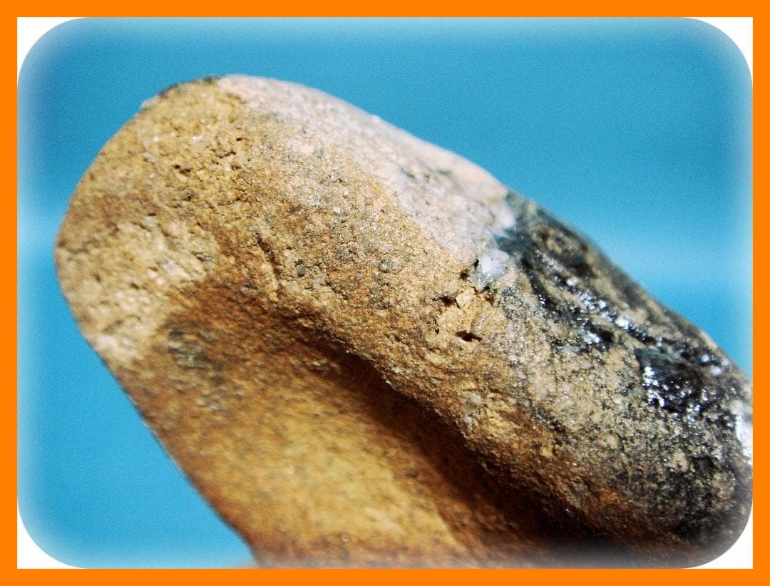 662『寝転んでいる のらくろ』陶器　/骨董品 古美術 アンティーク 古玩