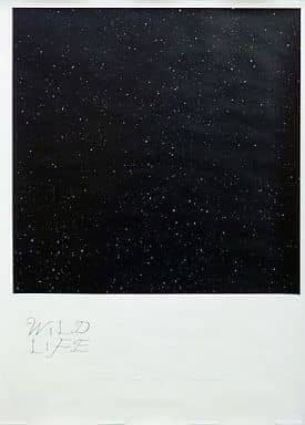 宇多田ヒカル　Wild Life ポスター2枚