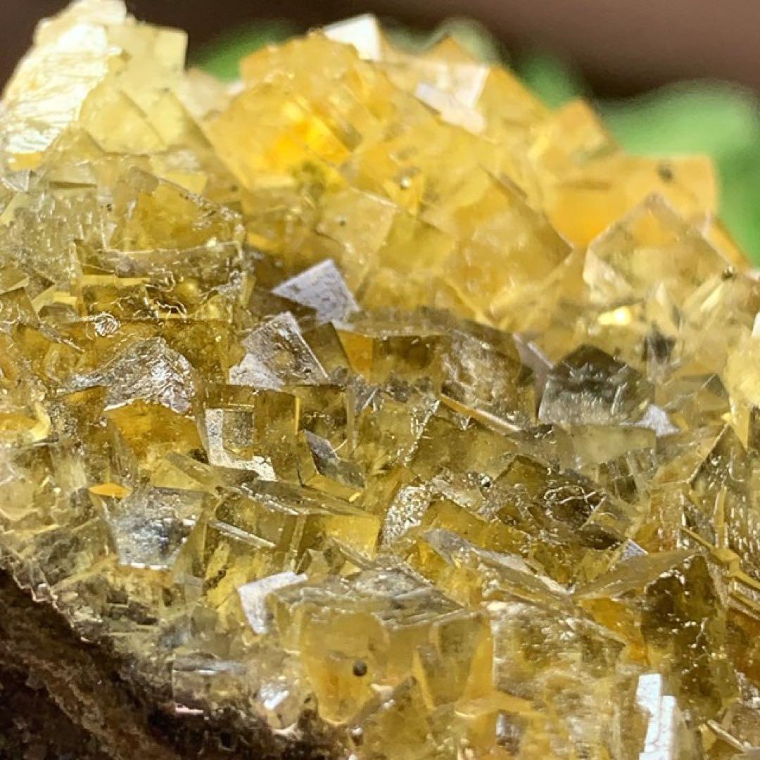 スペイン産☆パイライト共生☆イエローフローライト原石クラスター