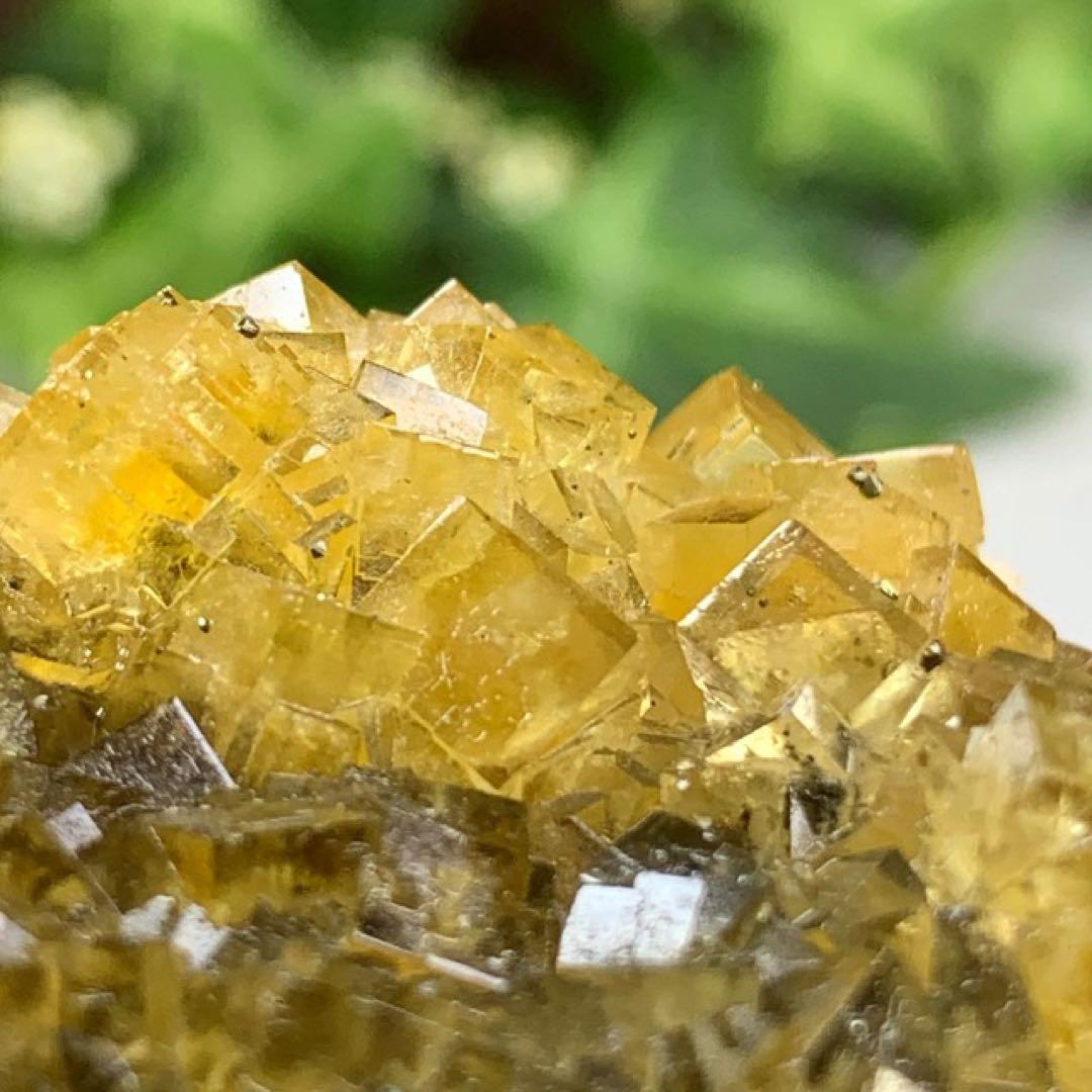 スペイン産☆パイライト共生☆イエローフローライト原石クラスター