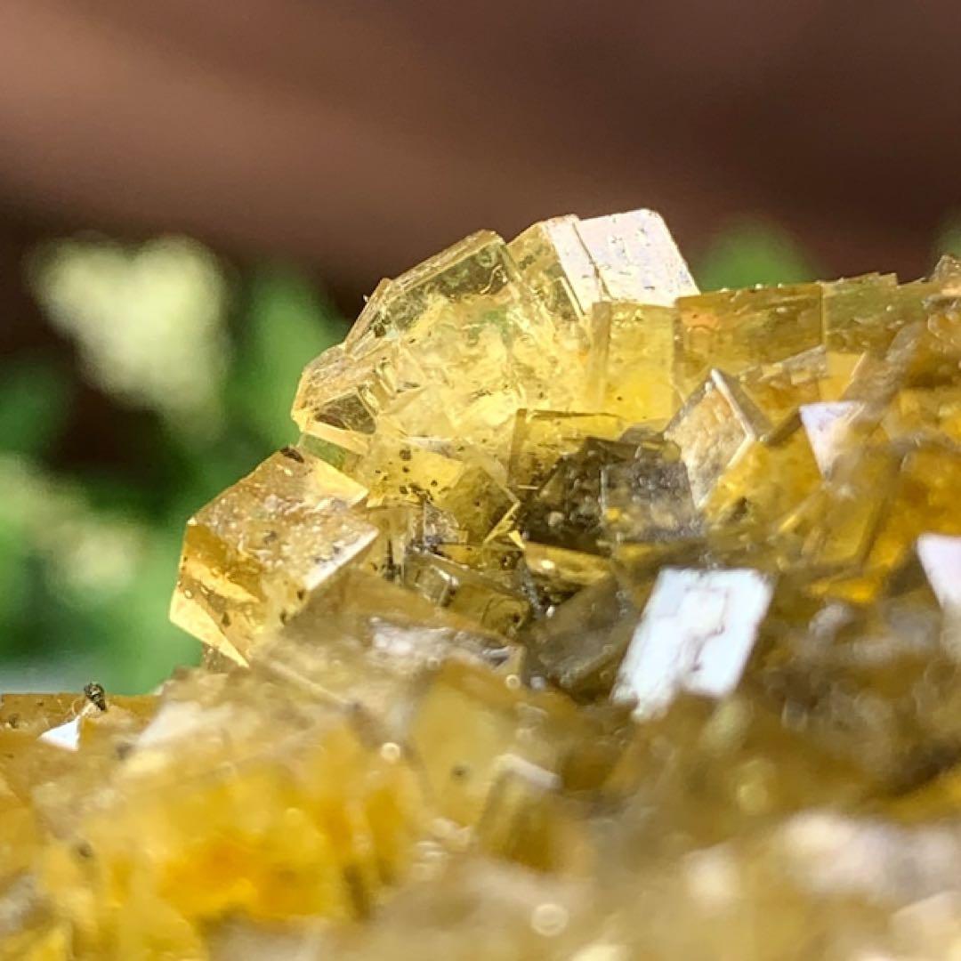 スペイン産☆パイライト共生☆イエローフローライト原石クラスター