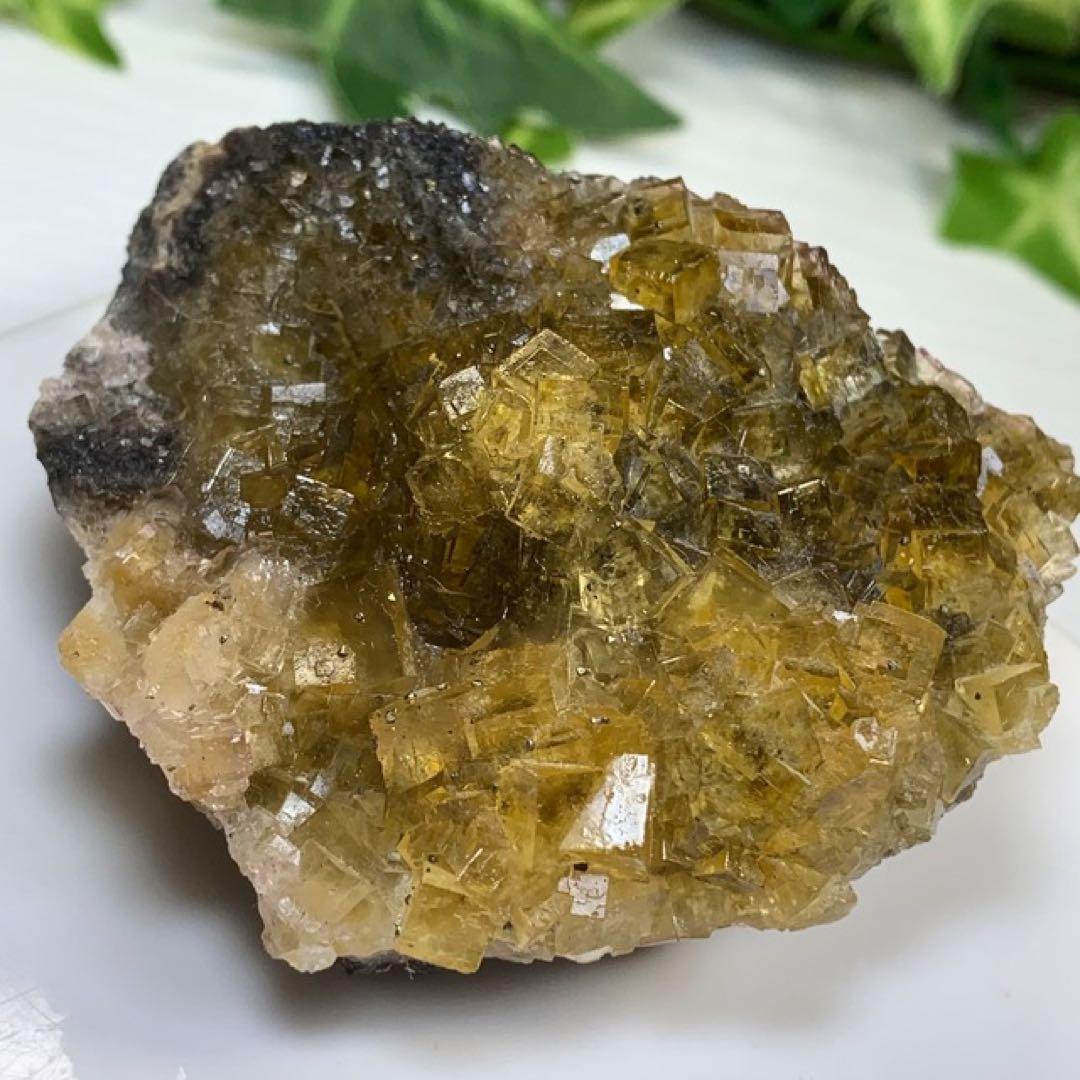 スペイン産☆パイライト共生☆イエローフローライト原石クラスター