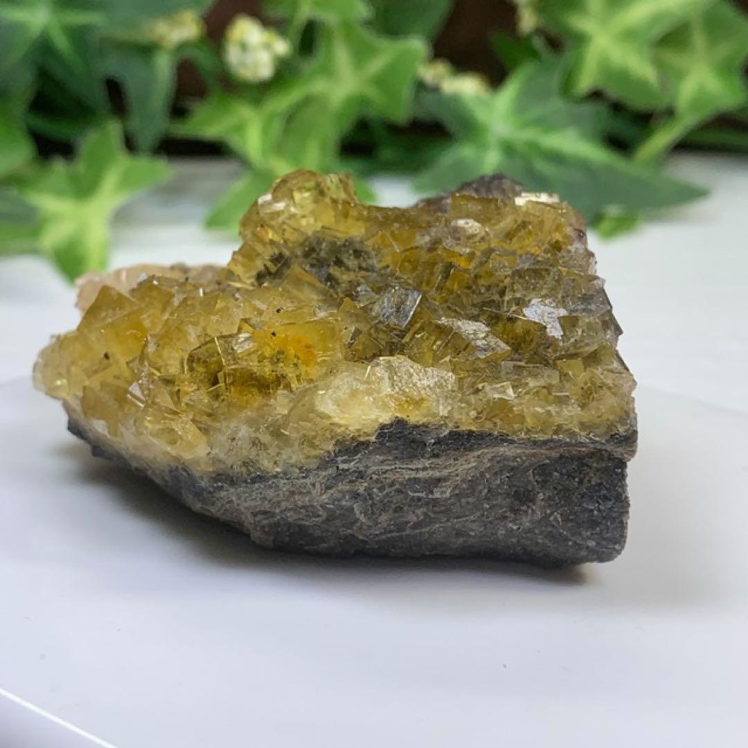 スペイン産☆パイライト共生☆イエローフローライト原石クラスター