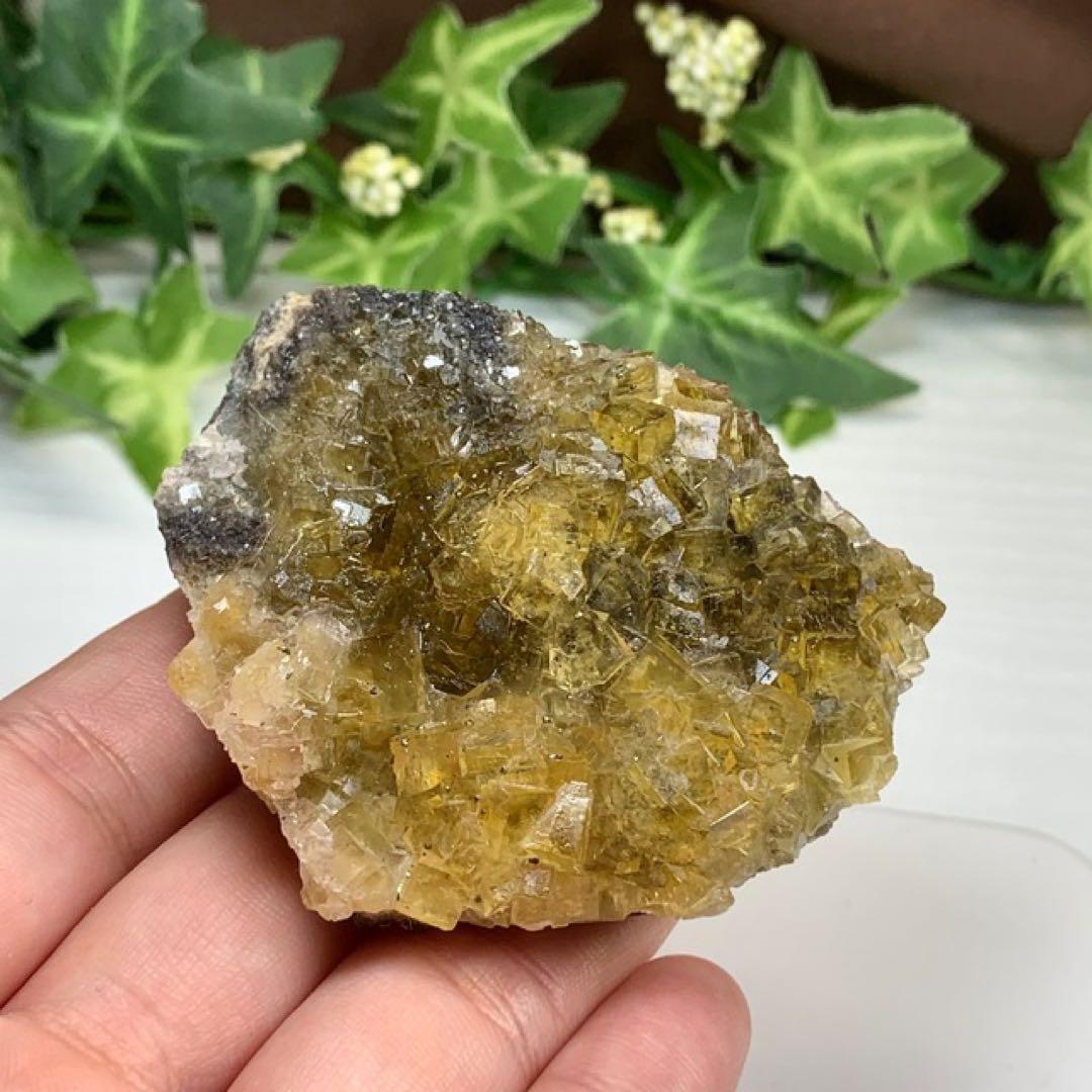 スペイン産☆パイライト共生☆イエローフローライト原石クラスター