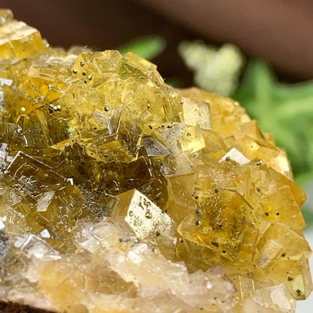 スペイン産☆パイライト共生☆イエローフローライト原石クラスター