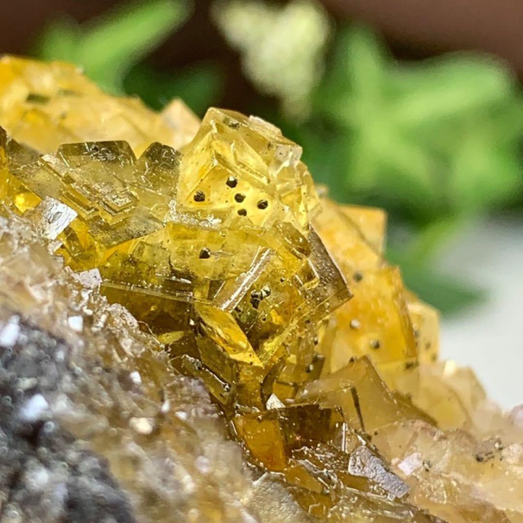 スペイン産☆パイライト共生☆イエローフローライト原石クラスター