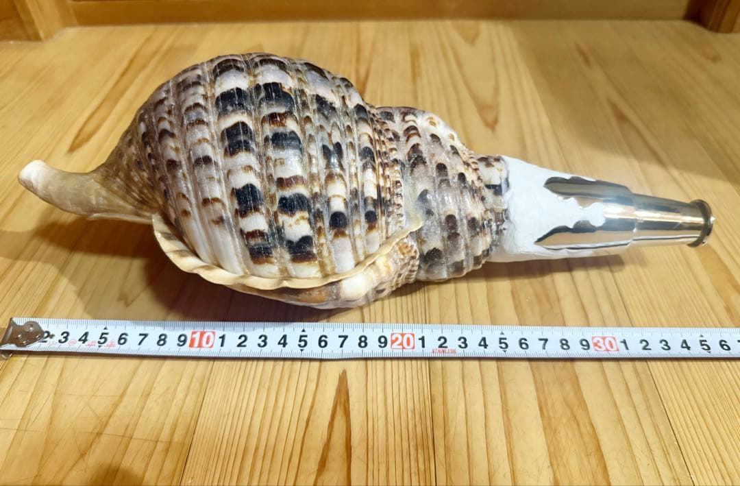 修験道法螺貝　山伏　密教　魔除け　ほら貝　ホラガイ❣️ホラガイ　ほら貝