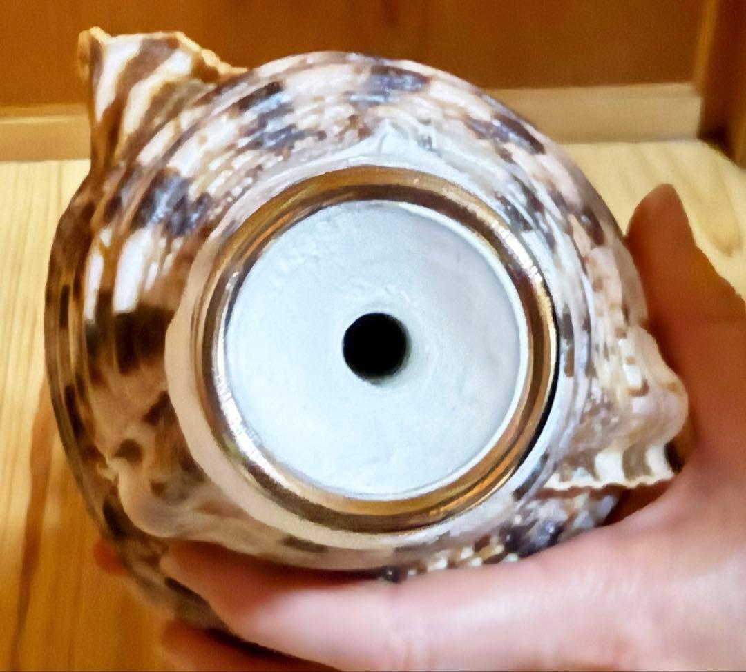 修験道法螺貝　山伏　密教　魔除け　ほら貝　ホラガイ❣️ホラガイ　ほら貝