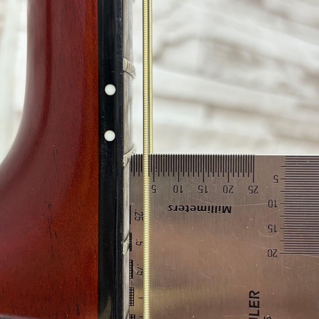 Morris モーリス エレアコ Tornado Series TR451