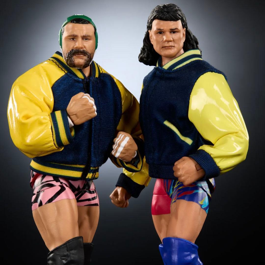 【新品未使用未開封】WWE 公式 シュタイナーブラザーズ フィギュア 日本未発売