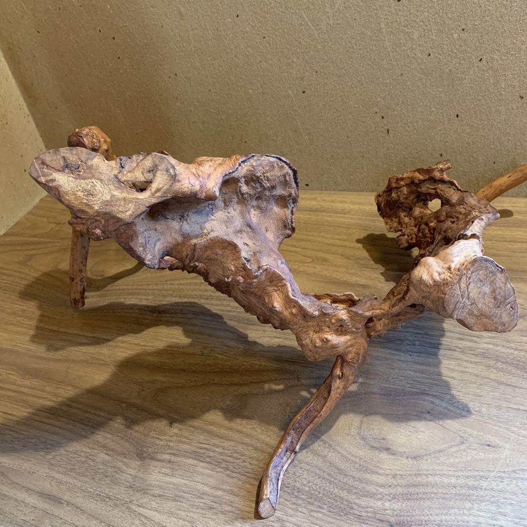 変木 天然木 飾り木 龍 動物 インテリア 工芸品 木工 木彫