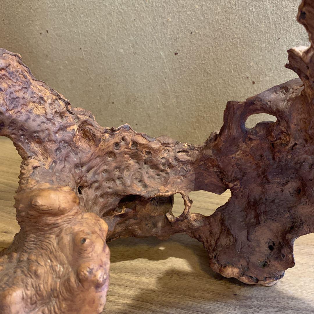 変木 天然木 飾り木 龍 動物 インテリア 工芸品 木工 木彫