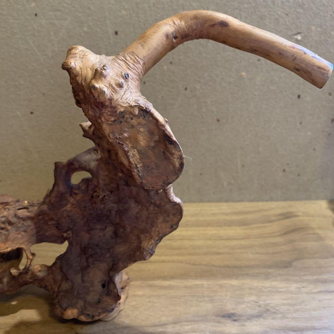 変木 天然木 飾り木 龍 動物 インテリア 工芸品 木工 木彫