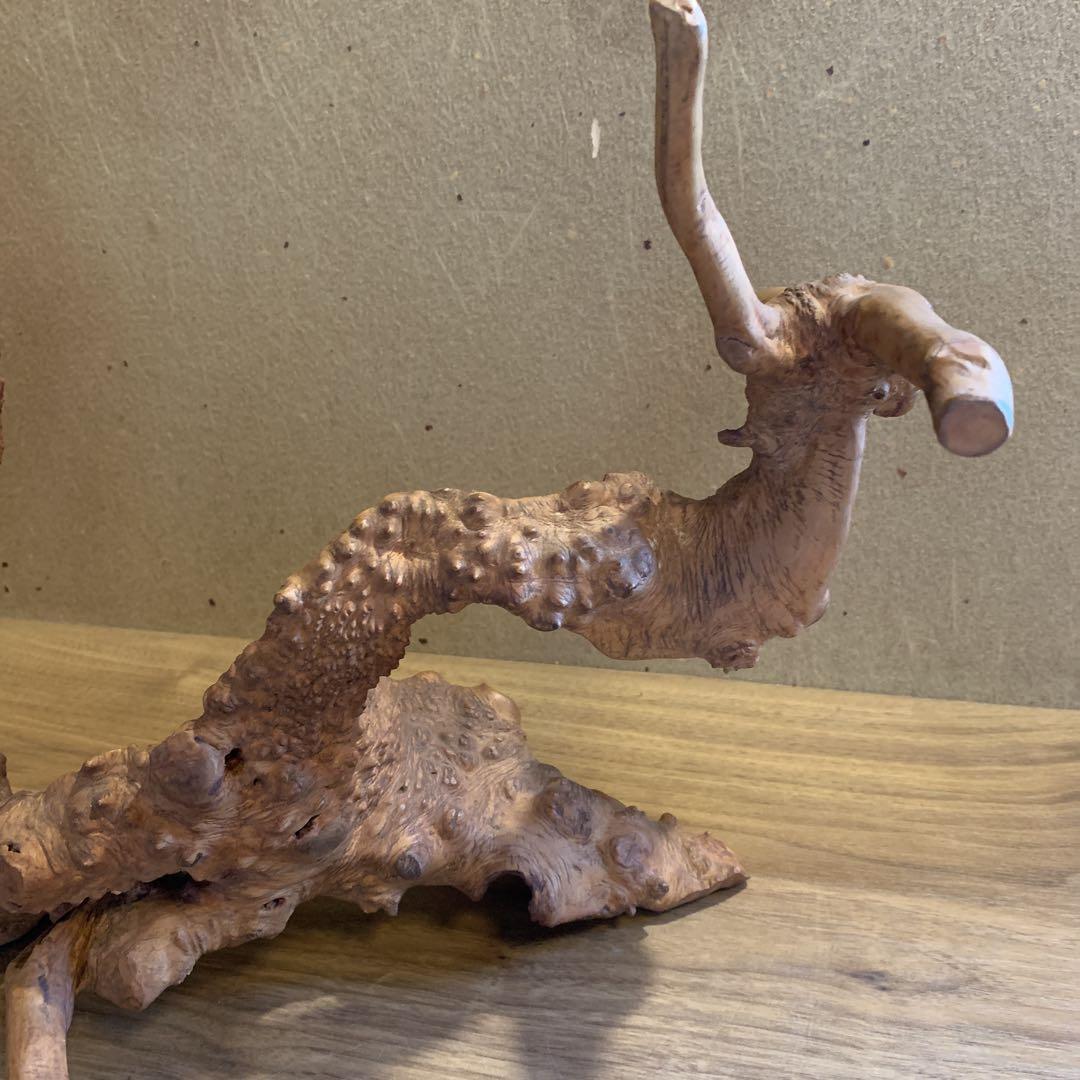 変木 天然木 飾り木 龍 動物 インテリア 工芸品 木工 木彫