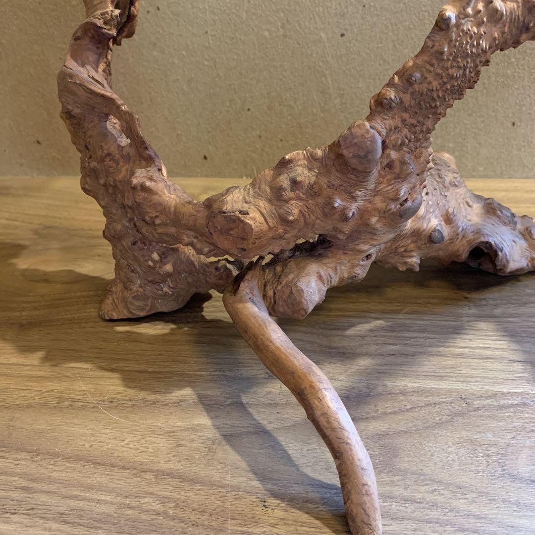 変木 天然木 飾り木 龍 動物 インテリア 工芸品 木工 木彫