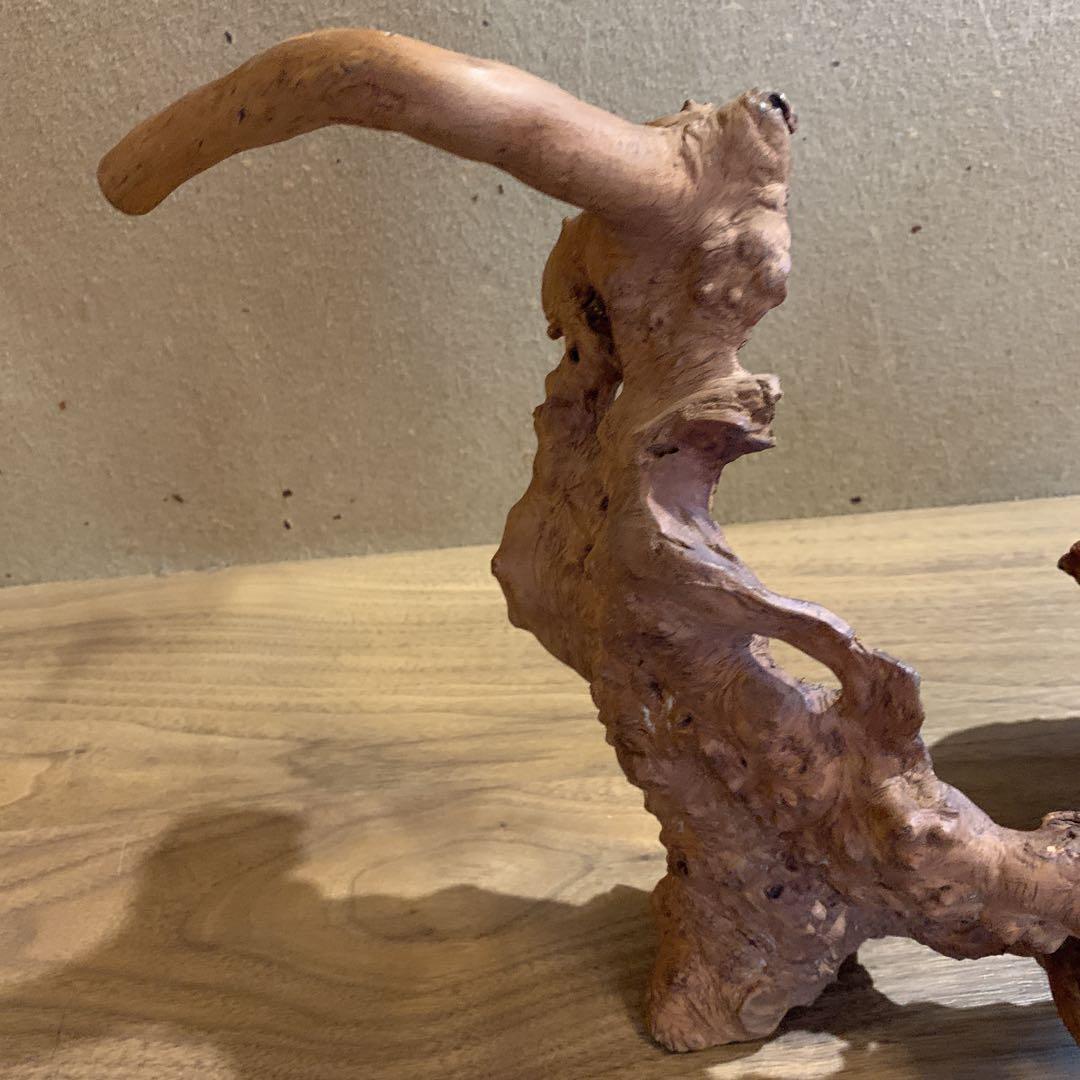 変木 天然木 飾り木 龍 動物 インテリア 工芸品 木工 木彫