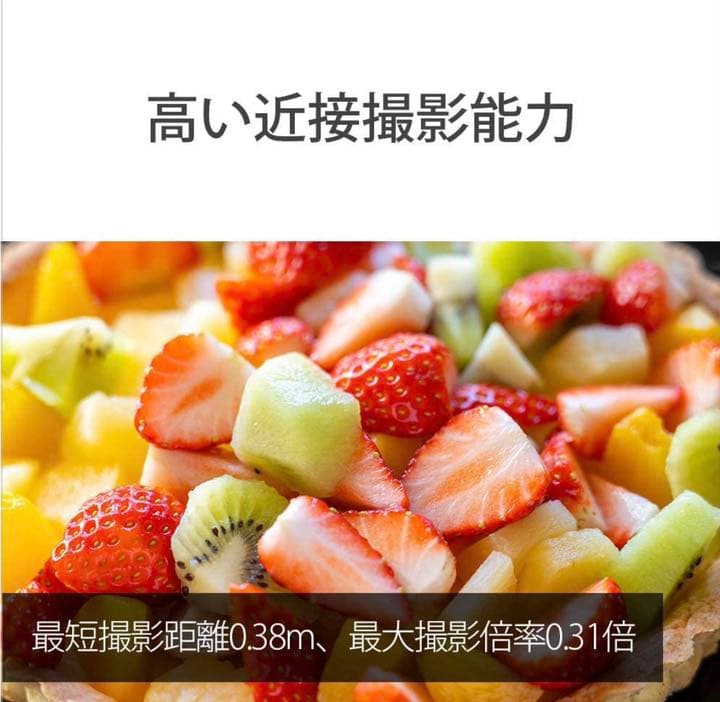 超美品 SONY FE 24-105mm F4 G OSS SEL24105G