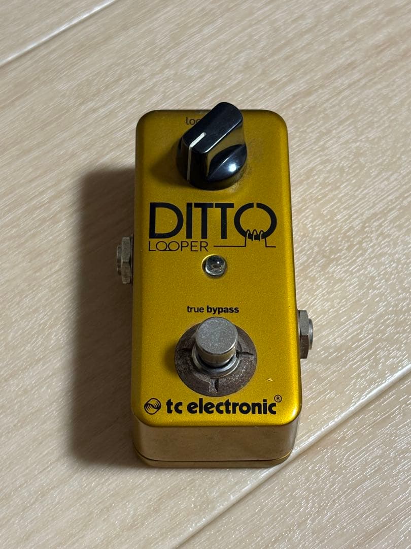 tc electronic DITTO looper 5000台限定　ゴールド