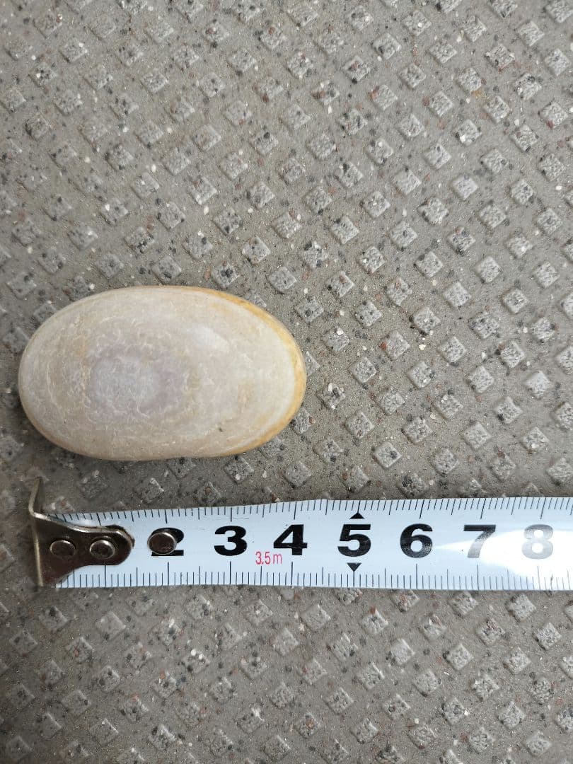 【20kg】Ａ天然石　庭石　岩盤浴　水槽　鉢植え