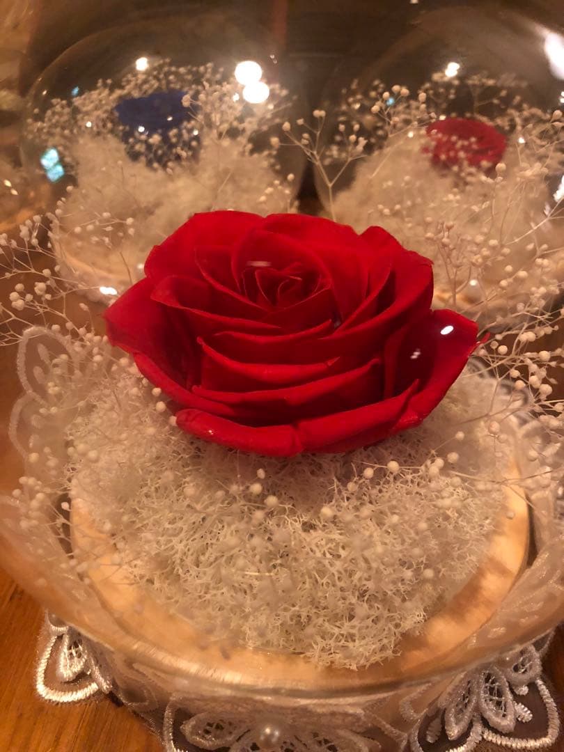 ブリザーブドフラワー（PREMIUM RED ROSE）