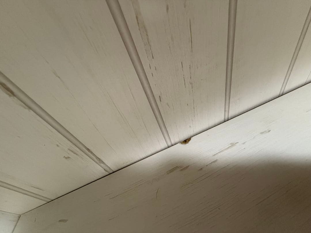 S☆ 白井産業 フリーラック 約幅75奥行26高さ160