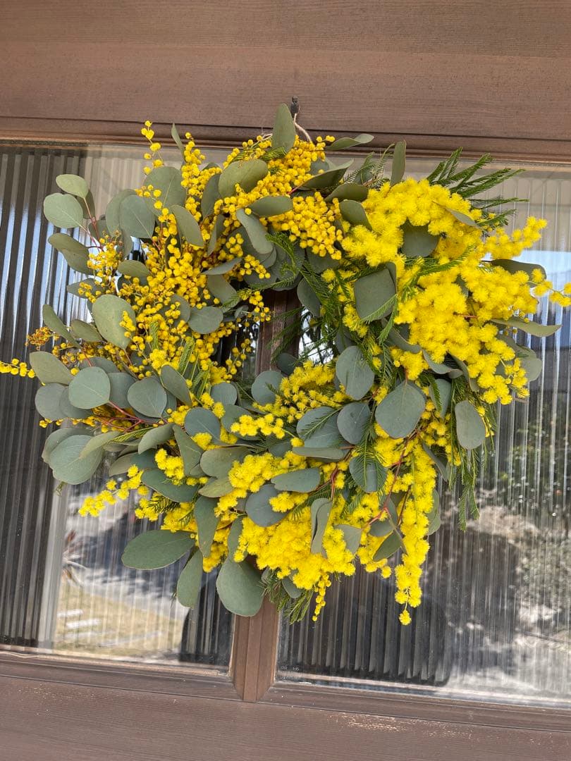 2023年フサアカシア受付3月24日で終了