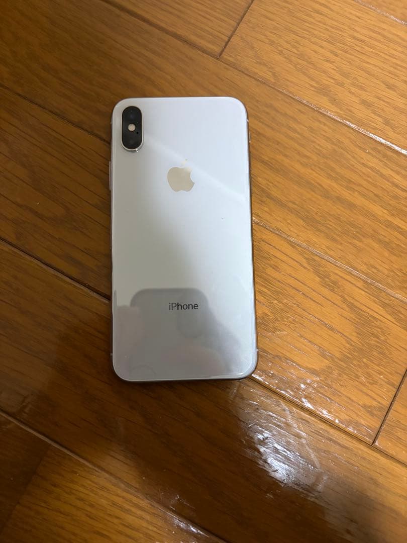 Apple iPhone X本体
