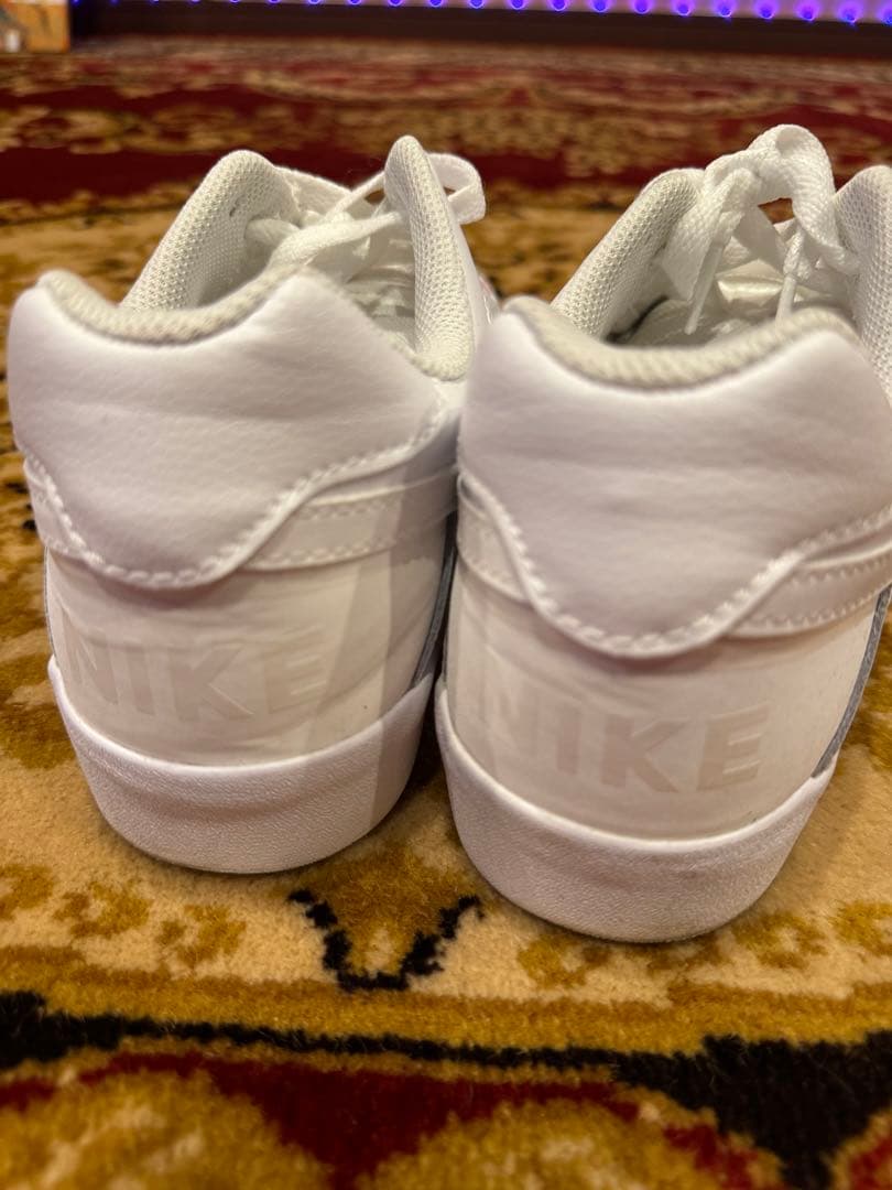 TOYAMAde. y10a4リメイク ナイキSBレザーペイントシューズ