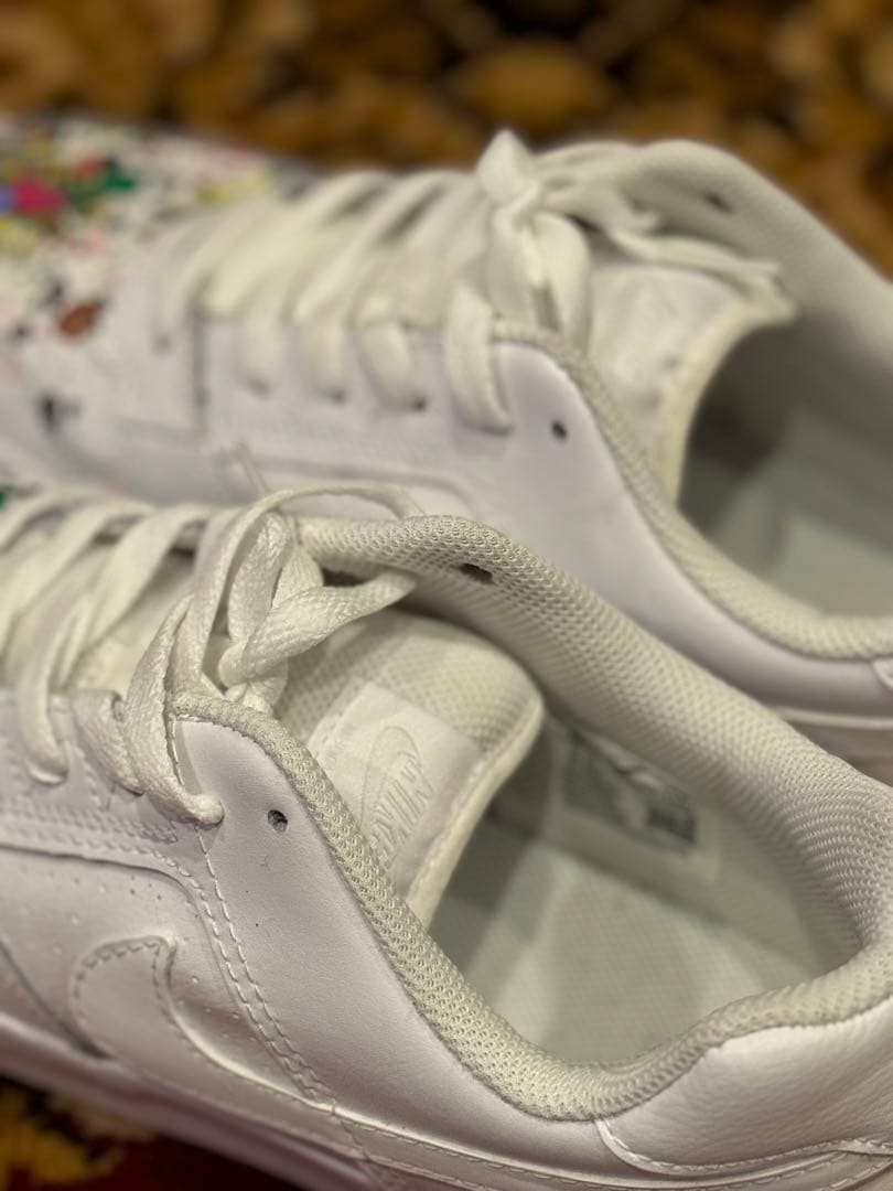 TOYAMAde. y10a4リメイク ナイキSBレザーペイントシューズ