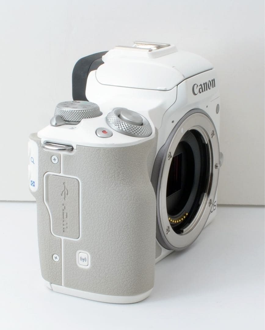 専用★Canon EOS kiss M2★Wi-Fi内蔵●人気ミラーレス●バック