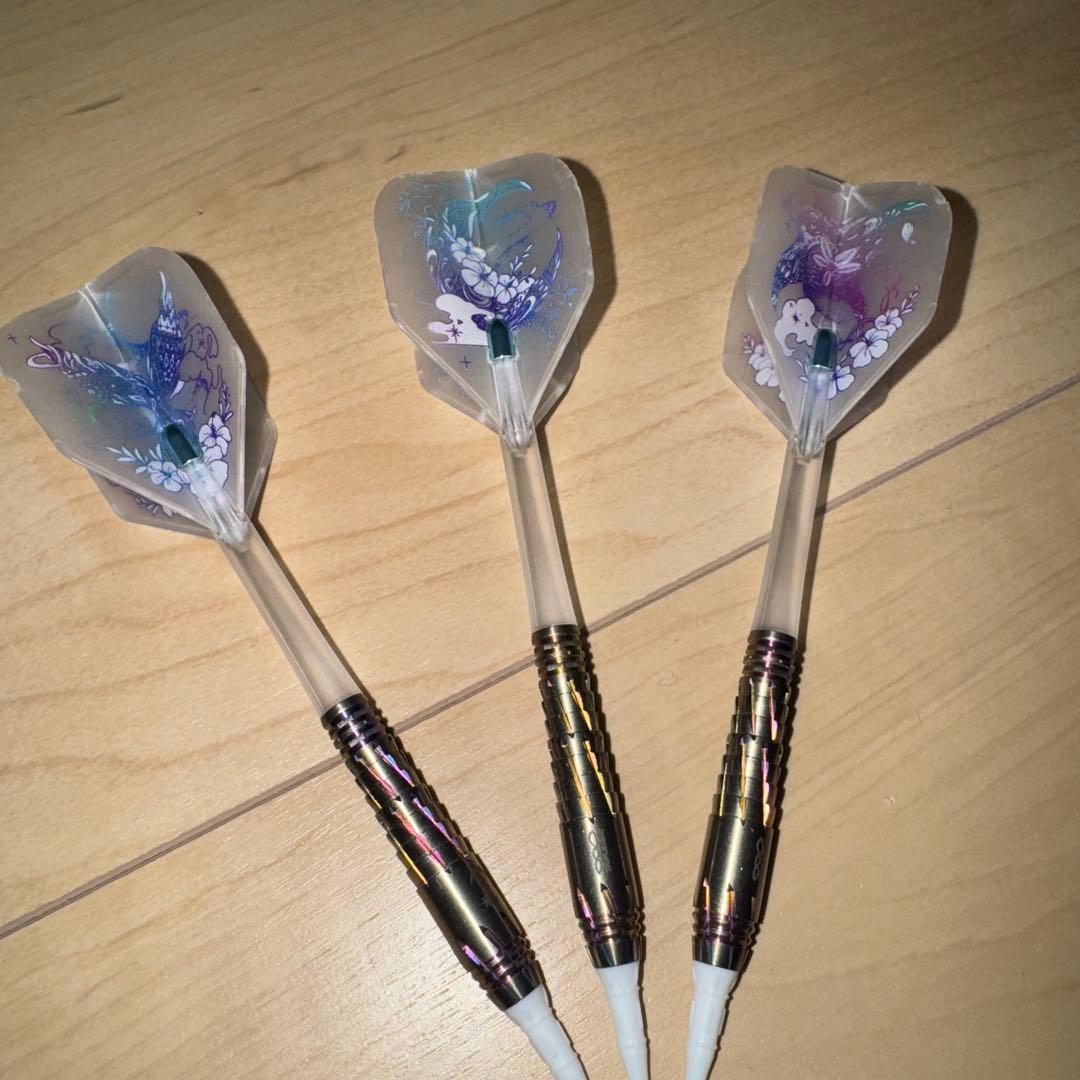 ダーツ3本とリップポイント30個セットとケース