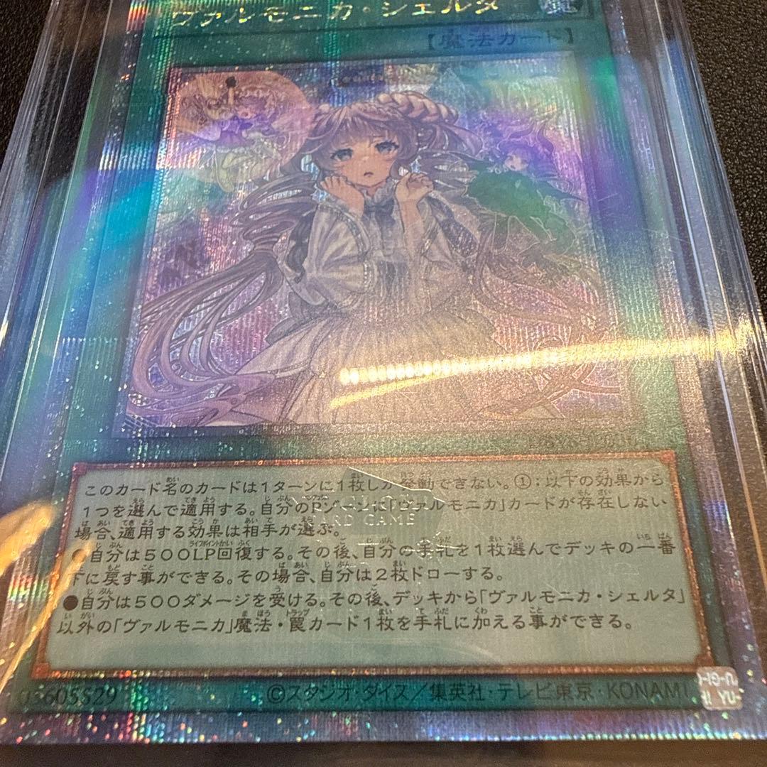 【美品】ヴァルモニカ・シェルタ(25thシク)