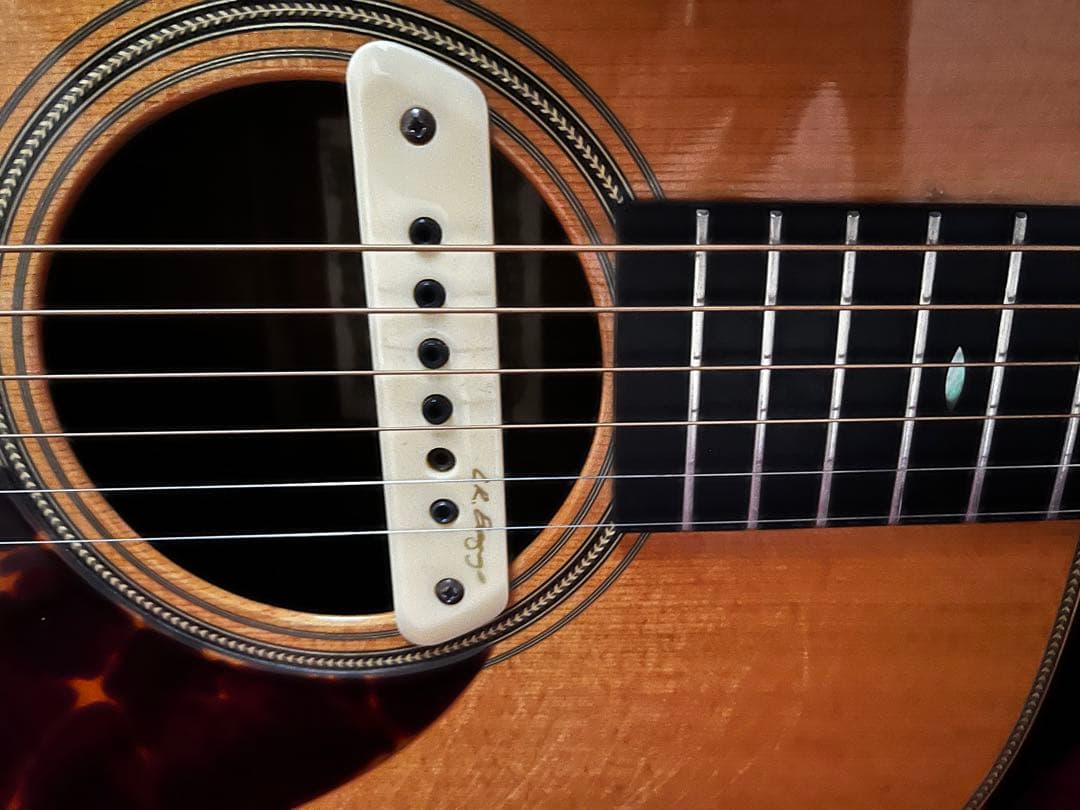 ASTURIAS EC HERRINGBONE L.R.Baggs / M1