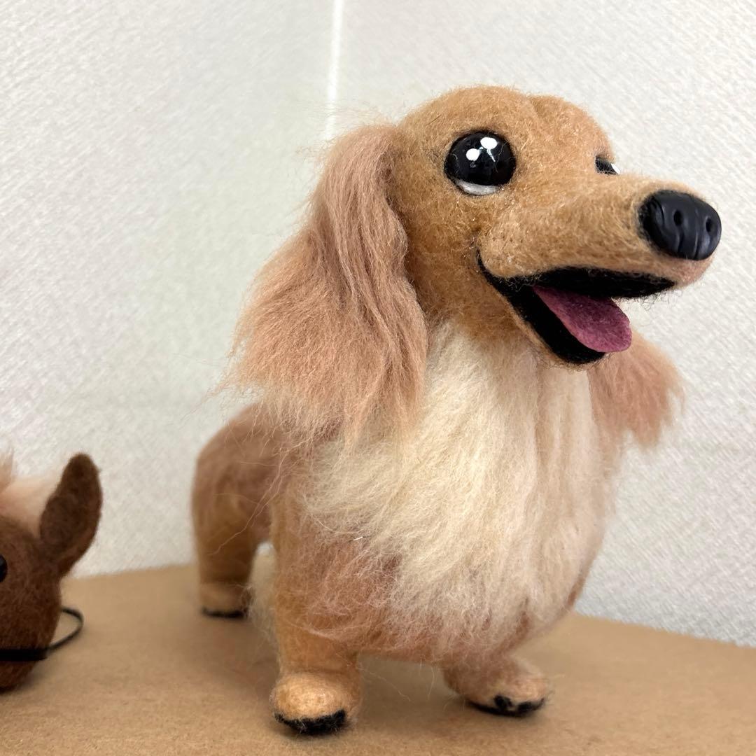 ゆきちゃんU^ェ^U