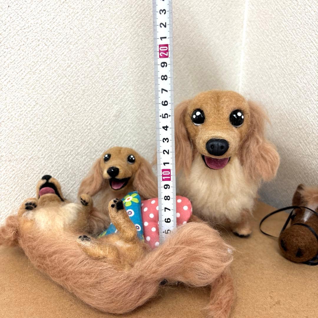 ゆきちゃんU^ェ^U