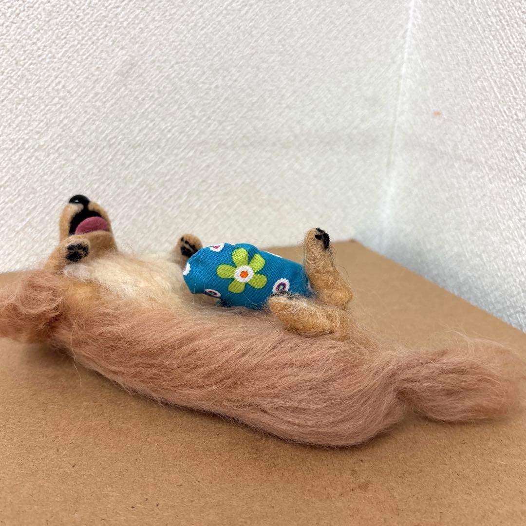 ゆきちゃんU^ェ^U