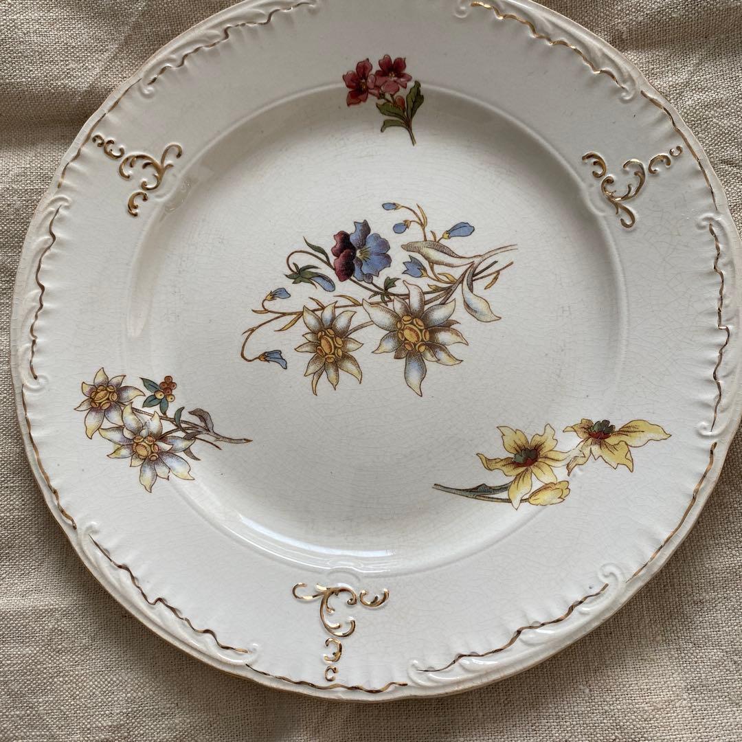 サルグミンヌRIGHI sarreguemines RIGHI プレート【Ａ】