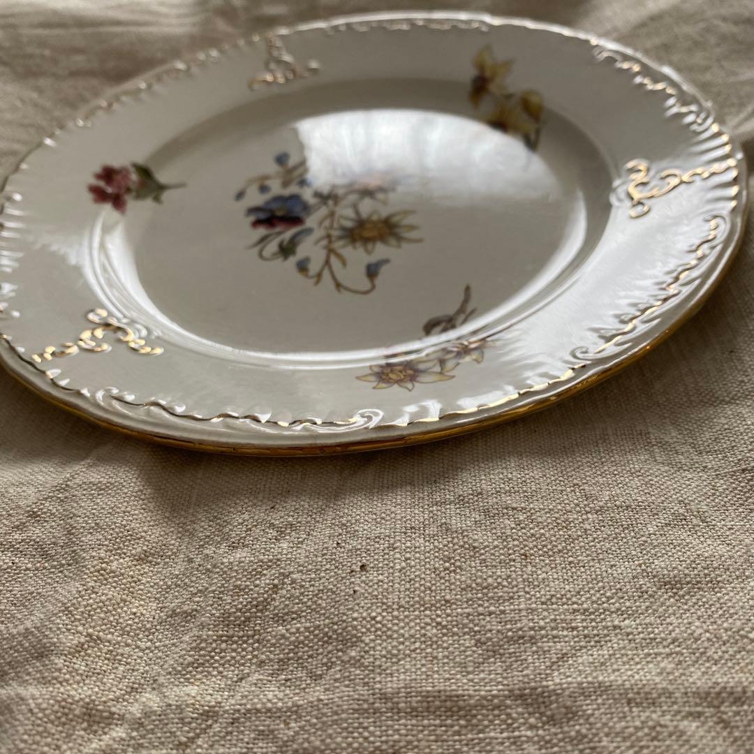 サルグミンヌRIGHI sarreguemines RIGHI プレート【Ａ】