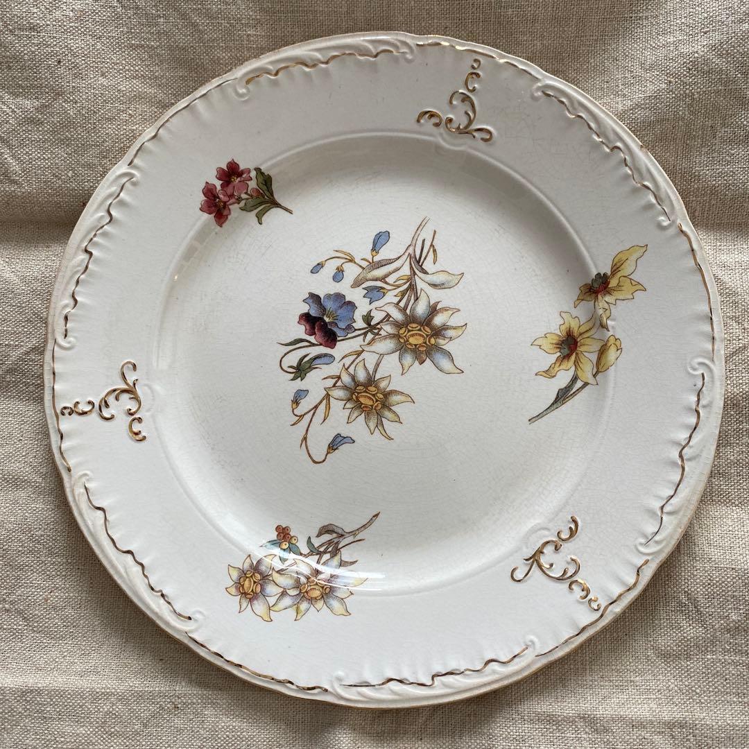 サルグミンヌRIGHI sarreguemines RIGHI プレート【Ａ】