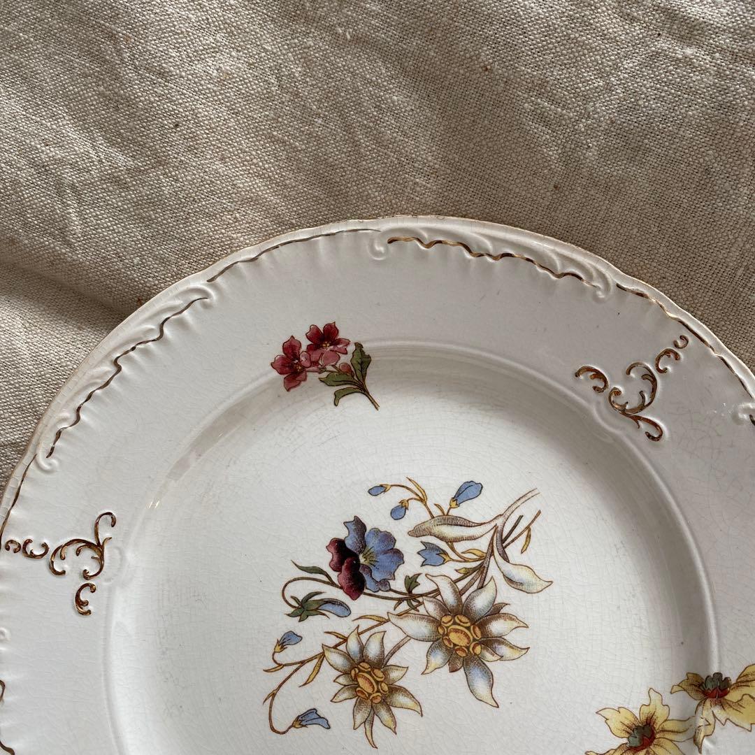 サルグミンヌRIGHI sarreguemines RIGHI プレート【Ａ】