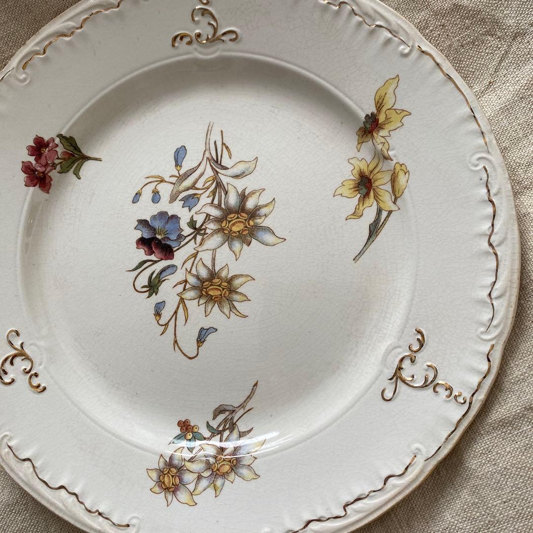 サルグミンヌRIGHI sarreguemines RIGHI プレート【Ａ】