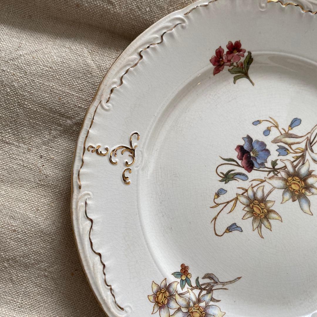 サルグミンヌRIGHI sarreguemines RIGHI プレート【Ａ】