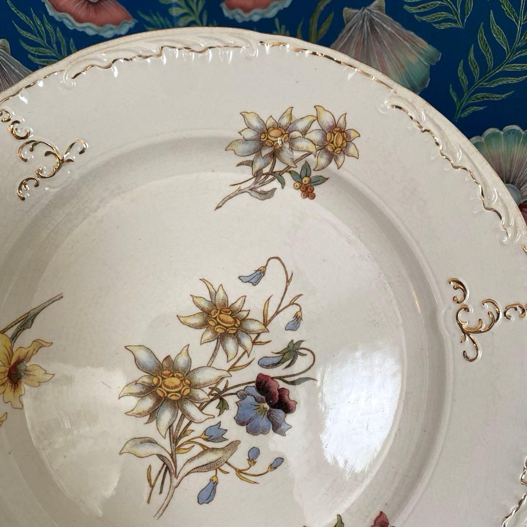 サルグミンヌRIGHI sarreguemines RIGHI プレート【Ａ】