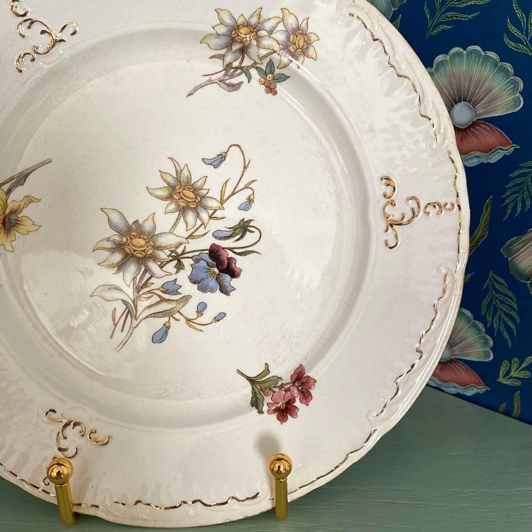 サルグミンヌRIGHI sarreguemines RIGHI プレート【Ａ】