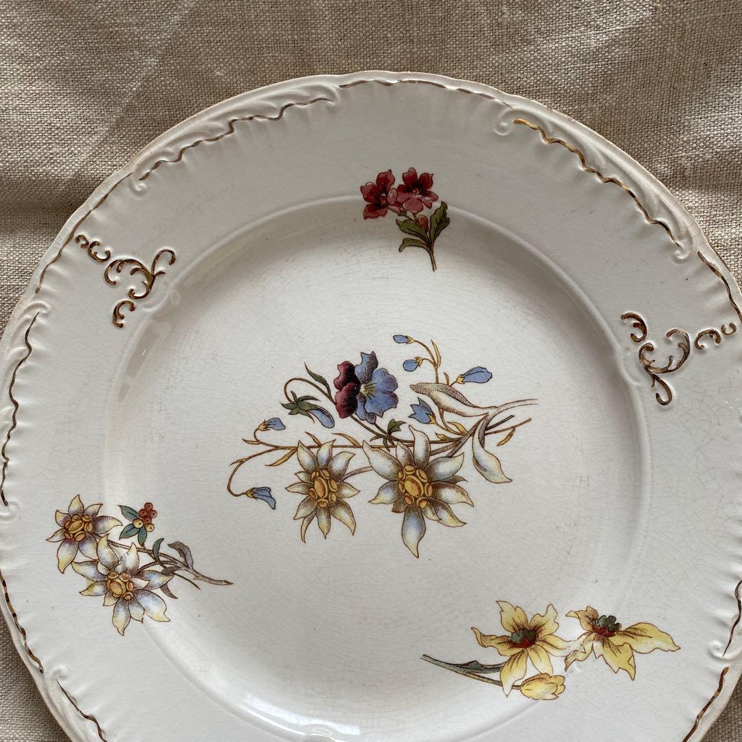 サルグミンヌRIGHI sarreguemines RIGHI プレート【Ａ】