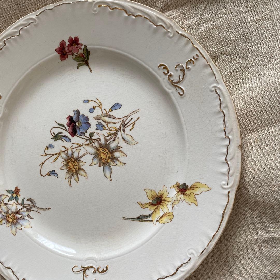 サルグミンヌRIGHI sarreguemines RIGHI プレート【Ａ】