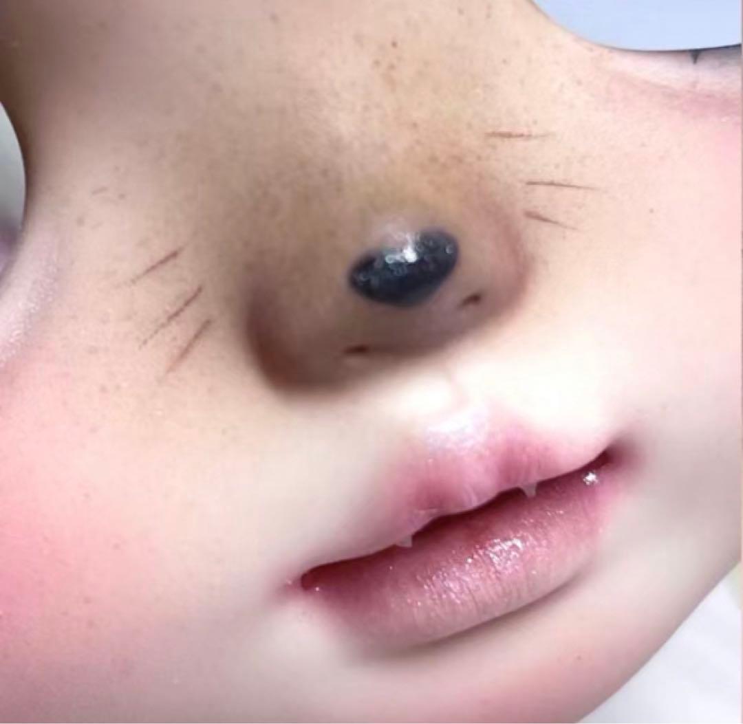 カスタムブライス 海外作家様 微笑み 猫顔 動物メイク かわいい フルセット