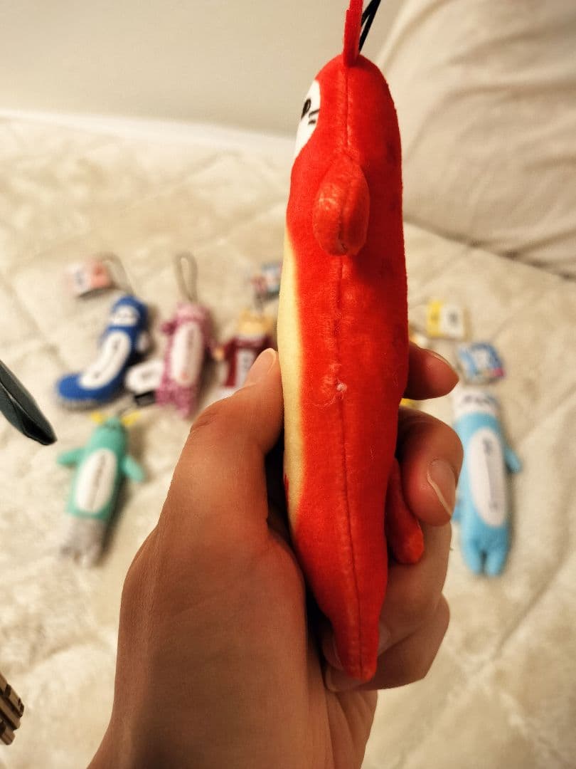 のびねこ１１匹