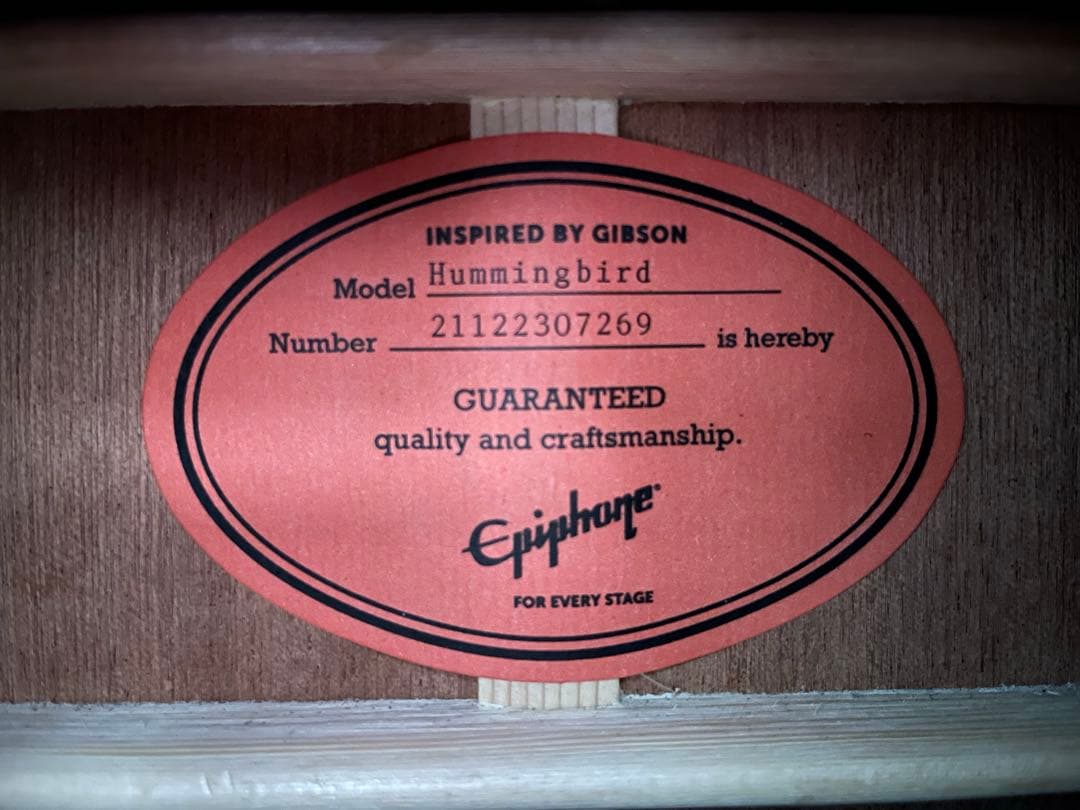 【早い者勝ち】EPIPHONE エレアコ　(ギターケース付き)【オール単板】